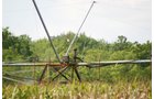 Property photo 93 - 21 Multiple Span Irrigation Pivots, Offered Individually or Combination - Irrigation Equipment Auction